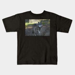 Grey Wolf Kids T-Shirt